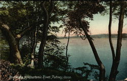 Scene up Housatonic River Postcard