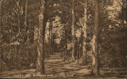 Lover's Lane, Wildwood Park Putnam, CT Postcard Postcard Postcard