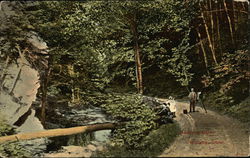 Photographer and Subject, Redding Glen Connecticut Postcard Postcard Postcard