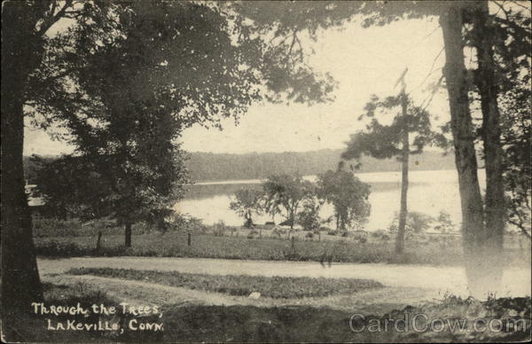 Scenic View through the Trees Lakeville, CT Postcard