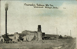 Phoenix Cotton Oil Company Postcard