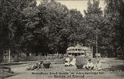 Eden Springs Park - House of David Postcard