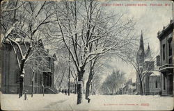 Snow Covered Dewitt Street, looking North Postcard