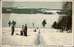 The 1500 foot Toboggan Slide Poland Spring, ME Postcard Postcard Postcard