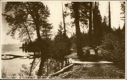 View Near McKinney's Lake Tahoe, CA Postcard Postcard Postcard