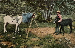 Horse taking photograph of Man with Donkey Postcard