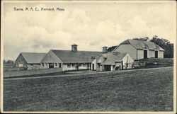 Barns, A.M.C. Amherst, MA Postcard Postcard Postcard