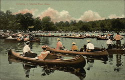 Canoeing on the Charles River Boston, MA Postcard Postcard Postcard