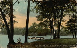 Fox Island at Charles River Waltham, MA Postcard Postcard Postcard