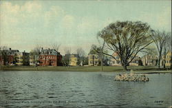 Broadway Park looking across Pond Somerville, MA Postcard Postcard Postcard