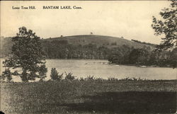 Scenic View of Lone Tree Hill, Bantam Lake Connecticut Postcard Postcard Postcard