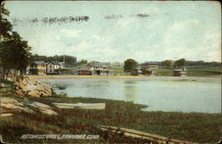 Scenic View of Hotchkiss Grove Postcard