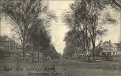 Park Avenue, looking North Postcard