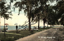 Sea Side Park Postcard