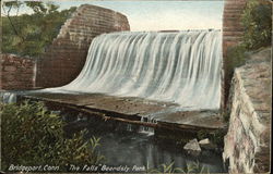 The Falls, Beardsly Park Bridgeport, CT Postcard Postcard Postcard