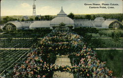 Green House, Plants Estate Eastern Point, CT Postcard Postcard Postcard