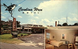 Carolina Wren Motel Orangeburg, SC Postcard Postcard Postcard