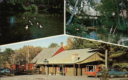 The Old Forge Restaurant Postcard