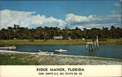 Ridge Manor, Florida Postcard Postcard Postcard