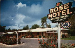 The Rose Motel Winter Haven, FL Postcard Postcard Postcard