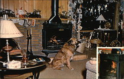 No. 3 Franklin Stove Postcard