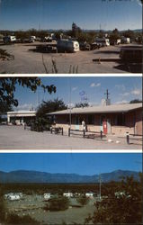 Cactus Country Trailer Haven Tucson, AZ Postcard Postcard Postcard