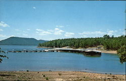 The Fairfield Bay Marina Arkansas Postcard Postcard Postcard