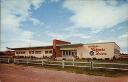 Montana Farmers Union Headquarters Building Postcard