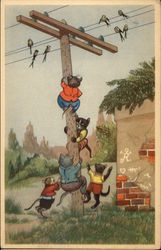 Cats Climbing Telephone Pole Postcard