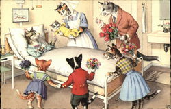 Cats in a hospital room Postcard