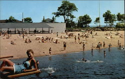 Picnic Grove and Beach at Island Beach Greenwich, CT Postcard Postcard Postcard