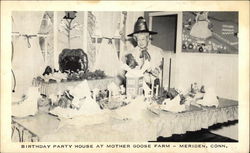 Birthday Party House at Mother Goose Farm - Meriden, Conn. Connecticut Postcard Postcard Postcard