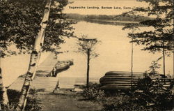 Water View at Sagawatha Landing Bantam Lake, CT Postcard Postcard Postcard