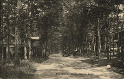 Wooded View of The Grove Grove Beach, CT Postcard Postcard Postcard