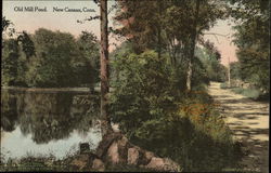 Old Mill Pond Postcard