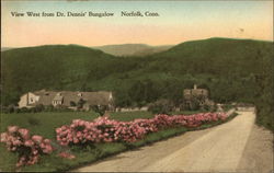 View west from Dr. Dennis' Bungalow Norfolk, CT Postcard Postcard Postcard