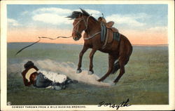 Cowboy thrown from a Bucking Bronco Cowboy Western Postcard Postcard Postcard