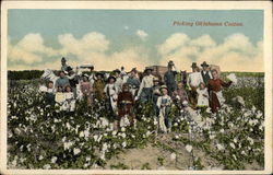 Picking Oklahoma Cotton Farming Postcard Postcard Postcard