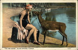 Woman and Deer Postcard