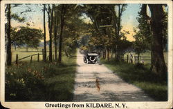 Greetings from Kildare Postcard