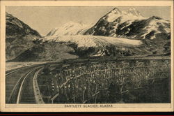 Bartlett Glacier Postcard