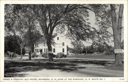 Perry's Tropical Nut House Postcard