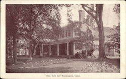 Elm Tree Inn Postcard