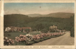 View West from Dr. Dennis' Bungalow Norfolk, CT Postcard Postcard Postcard