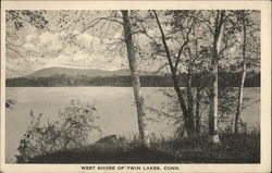 West Shore of Twin Lakes Postcard