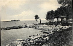 Shore Scene Postcard