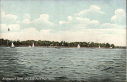 Sea Side Park from Water Postcard