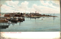 Harbor View Postcard