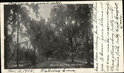 Bellevue Avenue from High Street Bristol, CT Postcard Postcard Postcard