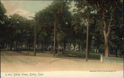 Derby Green Postcard